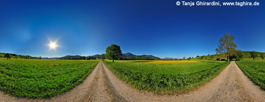 Panorama Bergener Moos